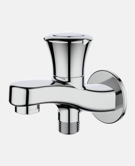 2-Way Bib Cock with Wall Flange