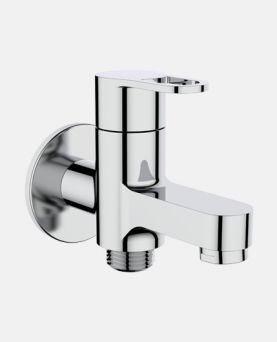 2-Way Bib Cock with Wall Flange